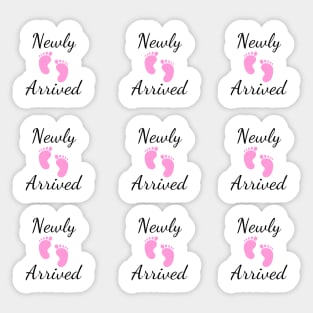 Newly Arrived - Pink New Baby Girl Shower Favor Pack Sticker